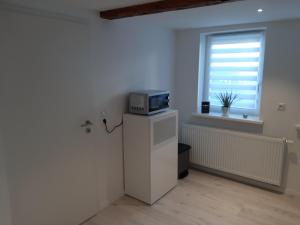 Zimmer mit einer Mikrowelle auf dem Kühlschrank in der Unterkunft Ferienwohnung Alte Glaserei in Ilsenburg