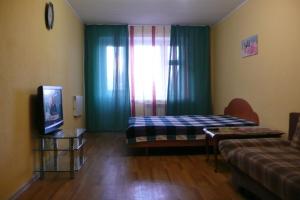 トムスクにあるApartment on Uchebnaya 8п8эт6のベッド、ソファ、テレビが備わる客室です。