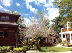a house with a tree in front of it at Pahiluna Guesthouse in Panglao