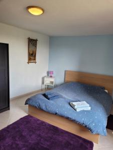 Postel nebo postele na pokoji v ubytování Ferme de la Combe