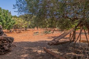 Ogród w obiekcie Finca CAN LLORENC by Mallorca Villa Selection