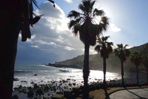 Φυσικό τοπίο κοντά σε αυτό το διαμέρισμα