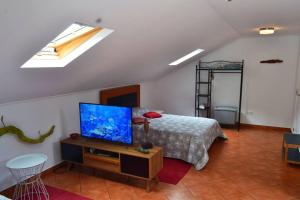 Μια τηλεόραση ή/και κέντρο ψυχαγωγίας στο Lazy Lizard Studio