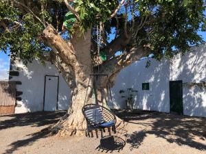 Kép Finca Los Llanitos szállásáról Guía de Isorában a galériában