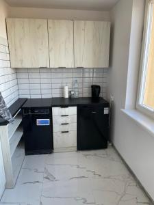 Kuchyň nebo kuchyňský kout v ubytování Apartament 33