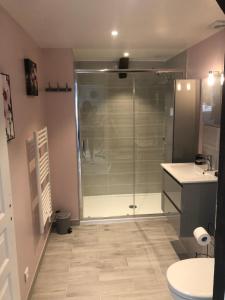 a bathroom with a shower and a toilet and a sink at Gîte le P'ti bonheur in Les Préaux