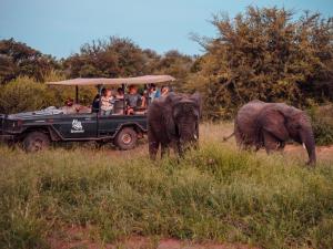 un grupo de personas en un vehículo safari con dos elefantes en Tshukudu Game Lodge en Hoedspruit