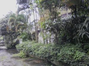 a garden in front of a building with plants at Malwatta rest in Kandy