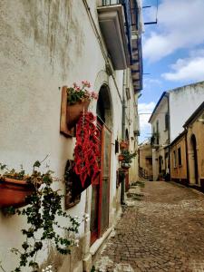 Bližnja soseska oz. soseska, v kateri se nahaja apartma