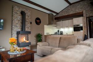 a living room with a couch and a fireplace at Nooit gedacht in Sint Annaland