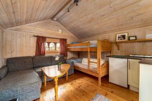 a living room with a couch and a bunk bed at First Camp Bø - Telemark in Bø