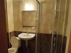 a bathroom with a toilet and a sink and a shower at Семеен хотел Чекръка in Iskŭr +1 photo