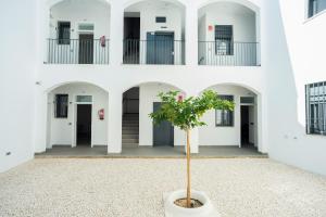 Exteriér alebo vchod do ubytovania EM21 Apartamentos