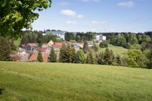 Gallery image of Werrapark Familienresort Hotel Heubacher Höhe in Masserberg