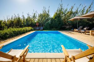 a swimming pool with chairs and an umbrella at Abacatus Farmhouse in Tavira
