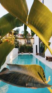 a pool in front of a house with a large plant at To Be Social House in Fethiye