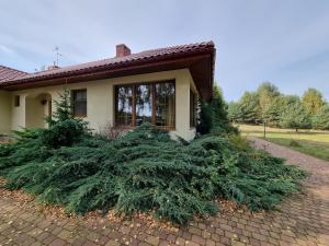 a pile of christmas trees in front of a house at Zacisze Jurajskie in Olsztyn