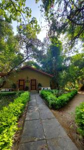 Bandhavgarh Jungle Lodge tesisinin dışında bir bahçe