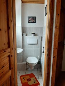 een kleine badkamer met een toilet en een wastafel bij Gästehaus Rüger in Birkenau