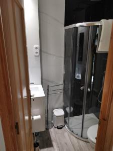 a bathroom with a shower and a toilet and a mirror at Chalet Adosado Urbanización COPOS PREMIUM Zona Media in Sierra Nevada +16 photos