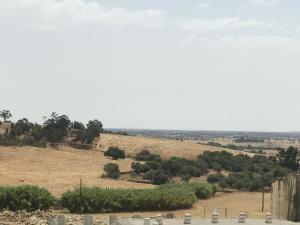 Gallery image of The Little Owls Nest Castro Verde in Castro Verde