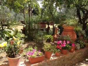 Agriturismo IL VIAIO外面的花园