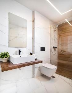 a bathroom with a sink and a toilet and a shower at Local Urban Living in Volos