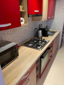 uma cozinha com um fogão e um micro-ondas em IGI RED FLAT with free private parking em Cluj-Napoca