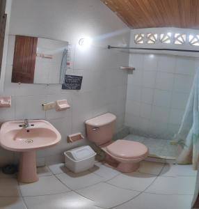 La salle de bains est pourvue de toilettes roses et d'un lavabo. dans l'établissement hostal alquimista, à Taganga