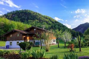 una casa en un campo con una montaña en el fondo en Ferienwohnung Steinlehen en Marktschellenberg