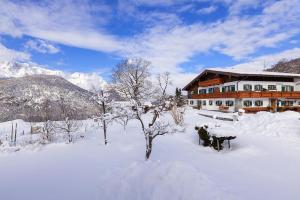 a snow covered yard with a house and a tree at Ferienwohnung Steinlehen in Marktschellenberg +26 photos