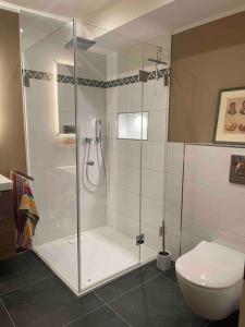 een badkamer met een douche en een toilet bij Schöne ruhige Wohnung (42qm) in Messenähe! in Düsseldorf
