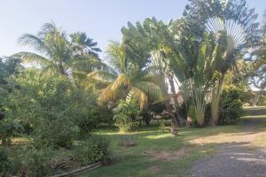 Gallery image of Gite le colibri Bungalow Azur avec réserve d'eau in Saint-François