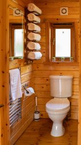 a bathroom with a toilet in a log cabin at The Steadings Log Cabins in Kettlebridge