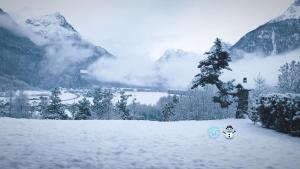 einen Hund auf einem schneebedeckten Feld mit Bergen in der Unterkunft Raimund Mrak Dependance in Längenfeld