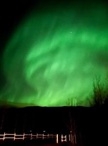 une image des lumières du nord dans le ciel dans l'établissement Akurgerði Guesthouse 8 - Country Life Style, à Ölfus
