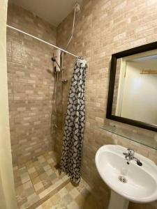 a bathroom with a sink and a shower with a mirror at Spacious Apartment Minutes from the Beach in Jan Thiel