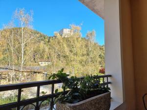 Balkón nebo terasa v ubytování Agriturismo La Dolza