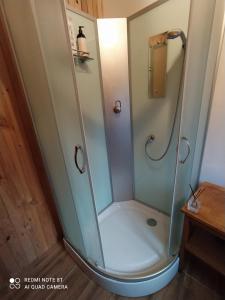 a shower with a glass enclosure in a bathroom at Piglet house in Alytus