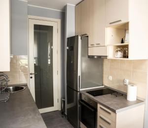 Kuchyň nebo kuchyňský kout v ubytování Apartman Tea Belville