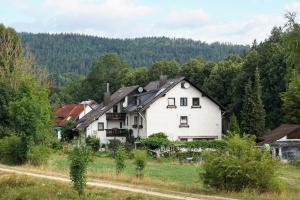 ein großes weißes Haus auf einem Feld mit Bäumen in der Unterkunft Bellas Mühlbachtal in Friedenfels