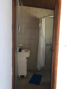 a bathroom with a shower and a sink and a toilet at La Casa Azul: tranquilidad y esparcimiento en un entorno natural in Chascomús +26 photos