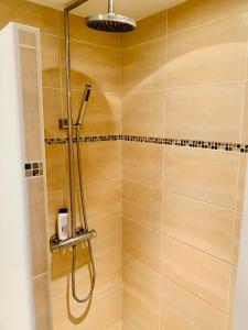 马赛Ravissant studio en plein centre de Marseille的浴室里有淋浴喷头的淋浴