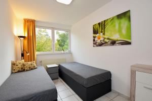 1 dormitorio con 2 camas y TV en la pared en Studioappartment SAALEBLICK, en Rudolstadt