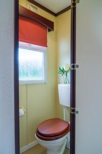 a bathroom with a toilet and a window at Toad Hall, Self Catering, Sleeps Four in Southam
