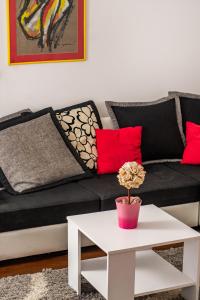 Fotografie z fotogalerie ubytování Apartments Šperun ( heart of Split ) ve Splitu