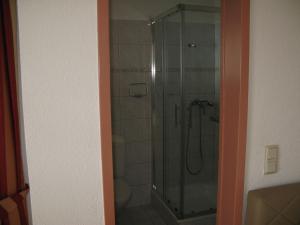 a shower with a glass door in a bathroom at Bed and Breakfast Villa Iris in Mošćenička Draga
