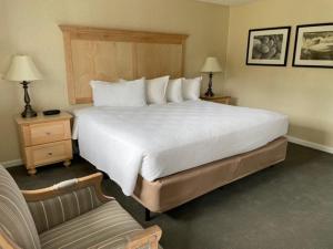 a hotel room with a bed, desk, lamp, and bedspread at Moseley Cottage Inn and The Town Motel in Bar Harbor