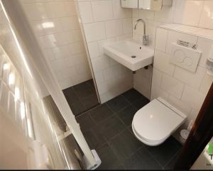 a small bathroom with a toilet and a sink at Natuurhuis 'Van De Wereld' in Lanaken +35 photos