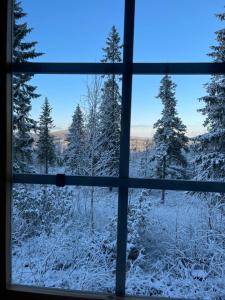 una finestra con vista su una foresta innevata di Syöte Luppomaja a Syöte